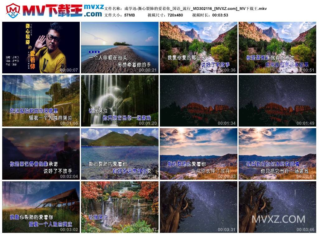 成学迅-撕心裂肺的爱着你_国语_流行_MD302116